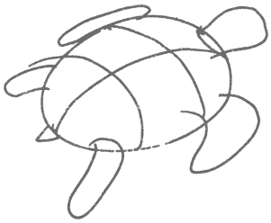 logo som skildpadde